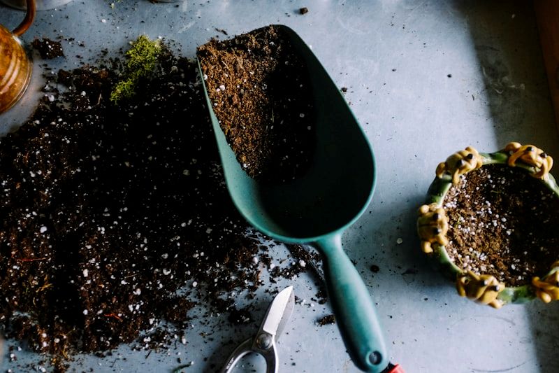 Medicinal Food Gardens Initiative